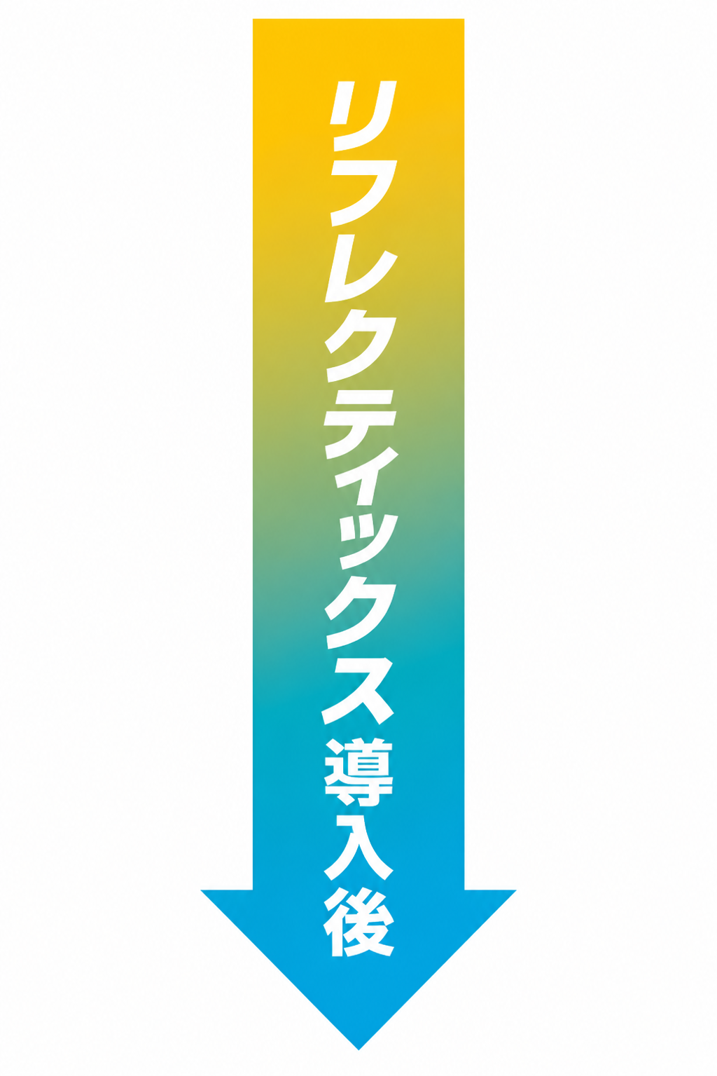 リフレクティックス導入後